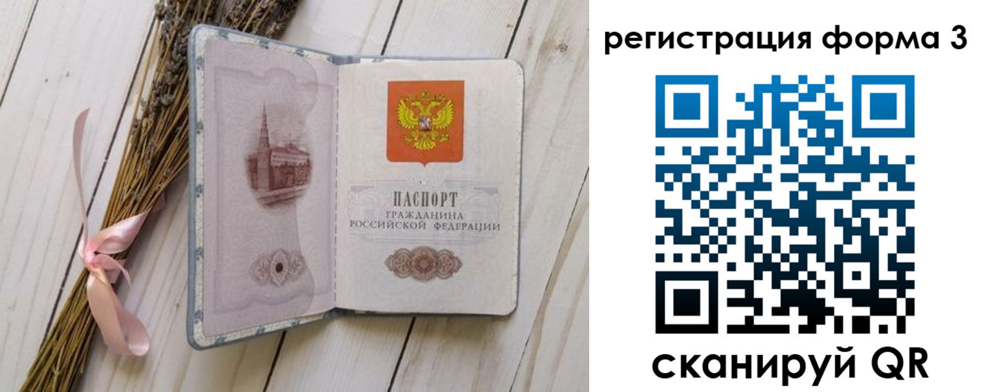 прописка поиск в Могочи